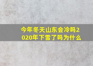 今年冬天山东会冷吗2020年下雪了吗为什么