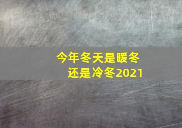 今年冬天是暖冬还是冷冬2021