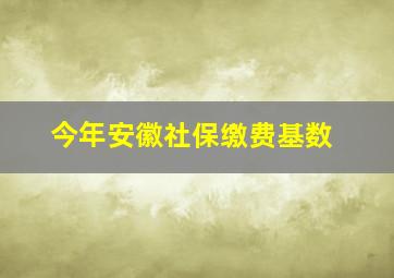 今年安徽社保缴费基数