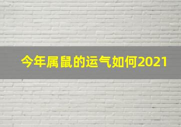 今年属鼠的运气如何2021