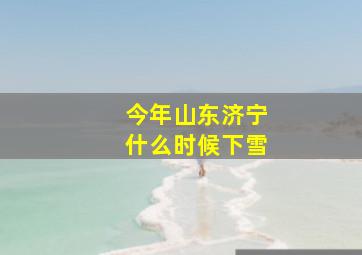 今年山东济宁什么时候下雪