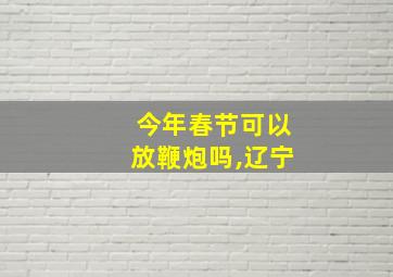 今年春节可以放鞭炮吗,辽宁