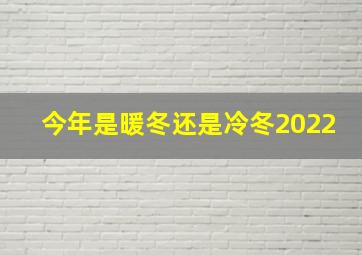 今年是暖冬还是冷冬2022