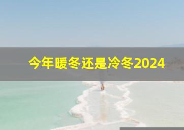 今年暖冬还是冷冬2024