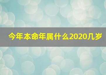 今年本命年属什么2020几岁