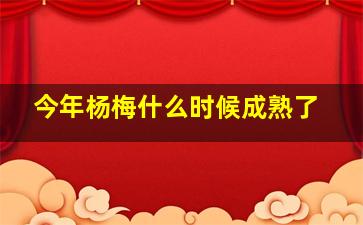 今年杨梅什么时候成熟了