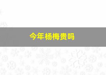 今年杨梅贵吗