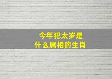 今年犯太岁是什么属相的生肖