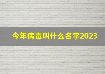 今年病毒叫什么名字2023