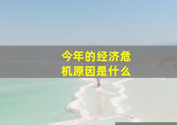 今年的经济危机原因是什么