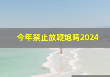 今年禁止放鞭炮吗2024