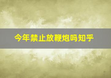 今年禁止放鞭炮吗知乎