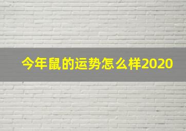 今年鼠的运势怎么样2020