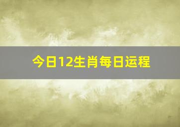 今日12生肖每日运程