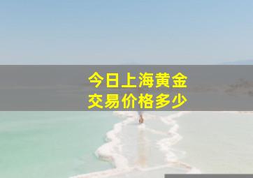 今日上海黄金交易价格多少