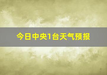 今日中央1台天气预报