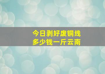 今日剥好废铜线多少钱一斤云南