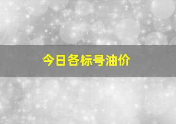 今日各标号油价