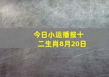 今日小运播报十二生肖8月20日