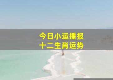 今日小运播报十二生肖运势