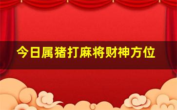 今日属猪打麻将财神方位