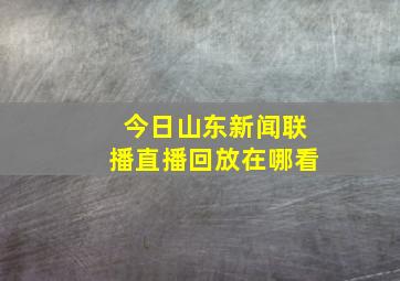 今日山东新闻联播直播回放在哪看