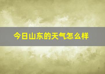 今日山东的天气怎么样