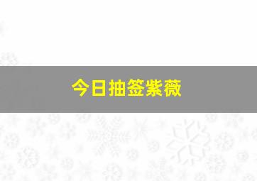 今日抽签紫薇