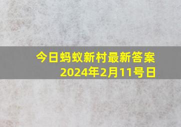 今日蚂蚁新村最新答案2024年2月11号日