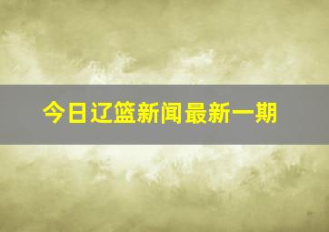 今日辽篮新闻最新一期