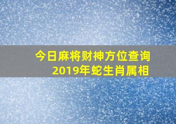 今日麻将财神方位查询2019年蛇生肖属相