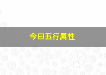 今曰五行属性