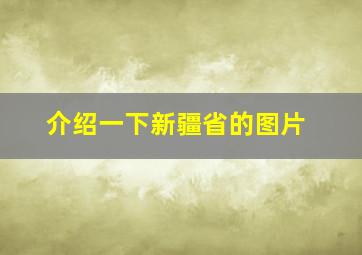 介绍一下新疆省的图片