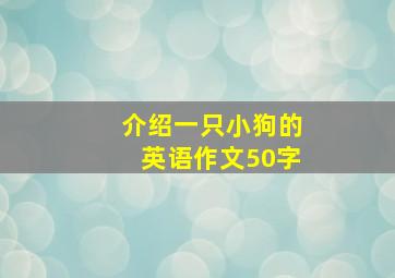 介绍一只小狗的英语作文50字