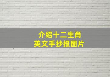 介绍十二生肖英文手抄报图片