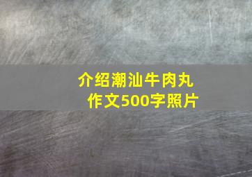 介绍潮汕牛肉丸作文500字照片