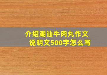 介绍潮汕牛肉丸作文说明文500字怎么写