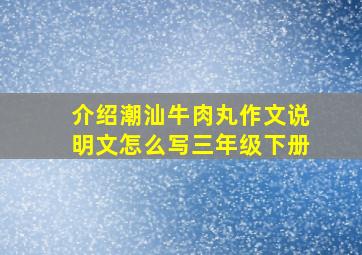 介绍潮汕牛肉丸作文说明文怎么写三年级下册