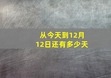 从今天到12月12日还有多少天