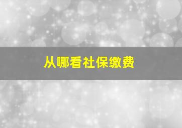 从哪看社保缴费