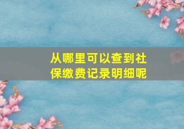 从哪里可以查到社保缴费记录明细呢