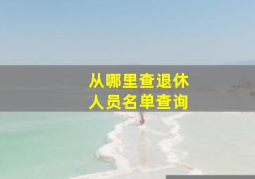 从哪里查退休人员名单查询