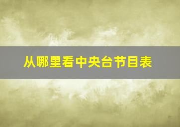 从哪里看中央台节目表