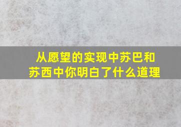 从愿望的实现中苏巴和苏西中你明白了什么道理