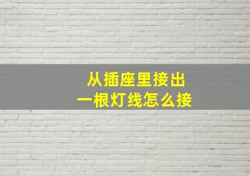 从插座里接出一根灯线怎么接