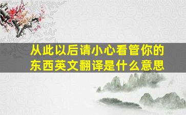 从此以后请小心看管你的东西英文翻译是什么意思