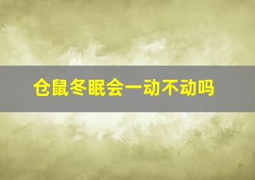 仓鼠冬眠会一动不动吗