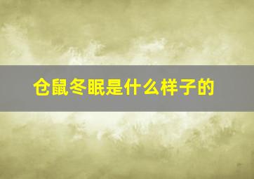 仓鼠冬眠是什么样子的