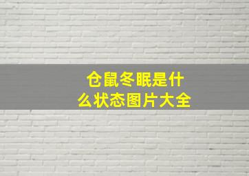 仓鼠冬眠是什么状态图片大全