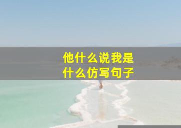 他什么说我是什么仿写句子